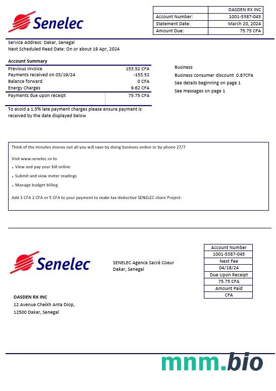 Senegal Senelec Agence Sacré Coeur Company electricity rachunek za usługi komunalne szablon w formatach Word i PDF